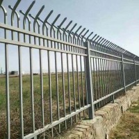 Home Garden Fence Cheap Hot dip Galvanized Zinc Plated Steel Fence with Powder Coated