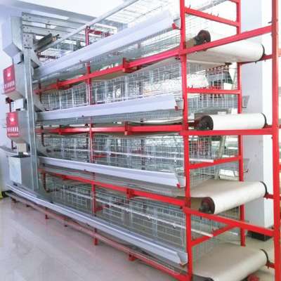 Factory price direct sale poultry farm house design automatic layer egg chicken cage