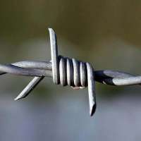 30 Years' factory supply hot-dip galvanized barbed wire price per roll