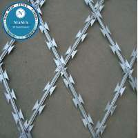 75X150/150x300 Welded Razor Barbed Wire Fence(Guangzhou Factory)