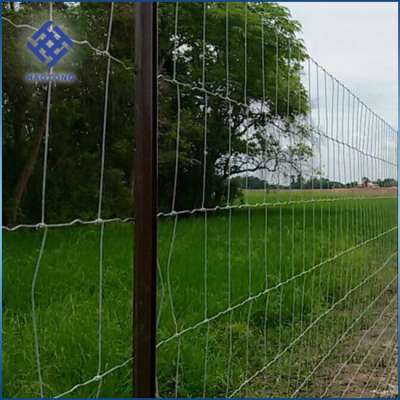 Factory supply wholesale galvanized cattle fence/heep fence