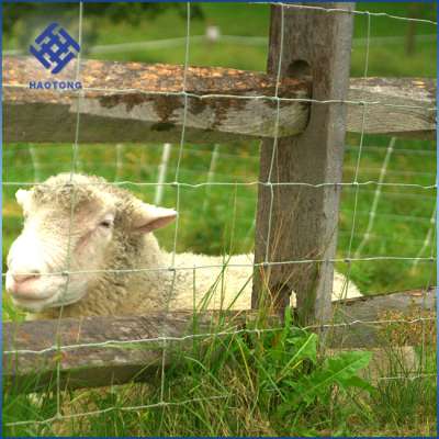 30 Years' factory supply anti-climb heep wire / cattle meh / deer fence