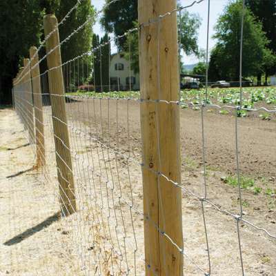 Factory supply heep cattle fence